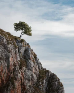 Bir Ateist Neden Müslüman Olmalı? - Detaylı Müslüman Olma Rehberi - İslam Tebliği ve Huzur Yolu Pexels Photo 28376808 1 240x300
